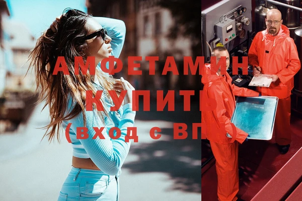 крисы Абаза