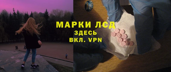 крисы Абаза
