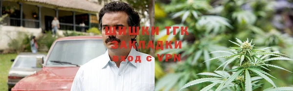 тгк Алзамай