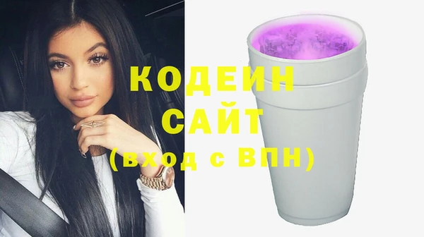 крисы Абаза
