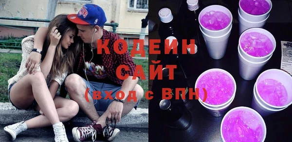 крисы Абаза