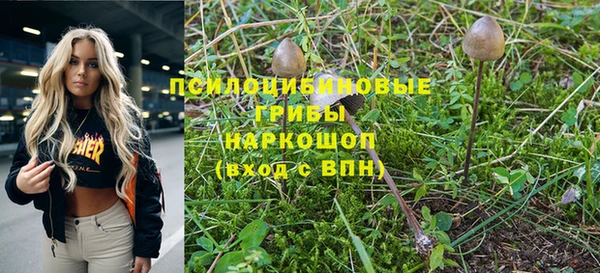 крисы Абаза