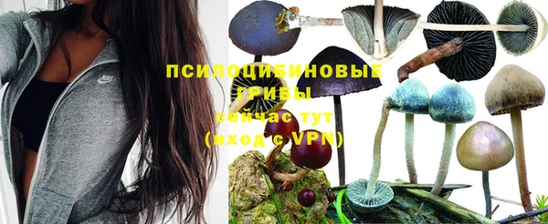 ECSTASY Абинск
