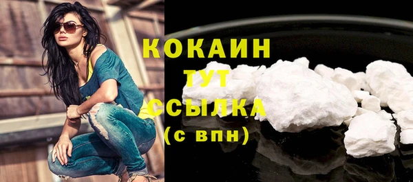 тгк Алзамай