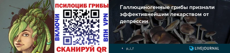 Псилоцибиновые грибы мухоморы  Разумное 