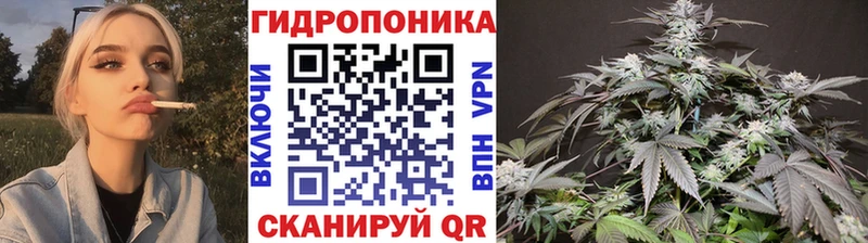 ссылка на мегу tor  Разумное  МАРИХУАНА White Widow 